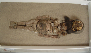 Illustration for article titled The World's Oldest Mummies Are Suddenly Turning Into Black Goo